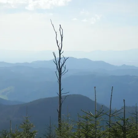 Restaurant Falken באיירסברון