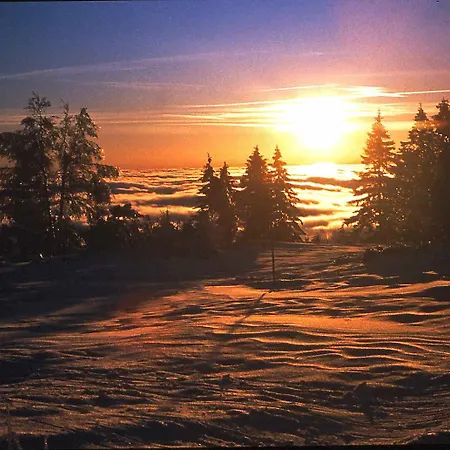 מלון Restaurant Falken 3*