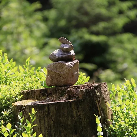 Szálloda Restaurant Falken