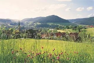 Szálloda Restaurant Falken