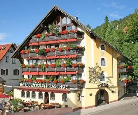 호텔 Restaurant Falken 3*